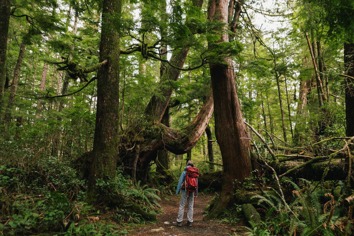 hidden gems in canada BC