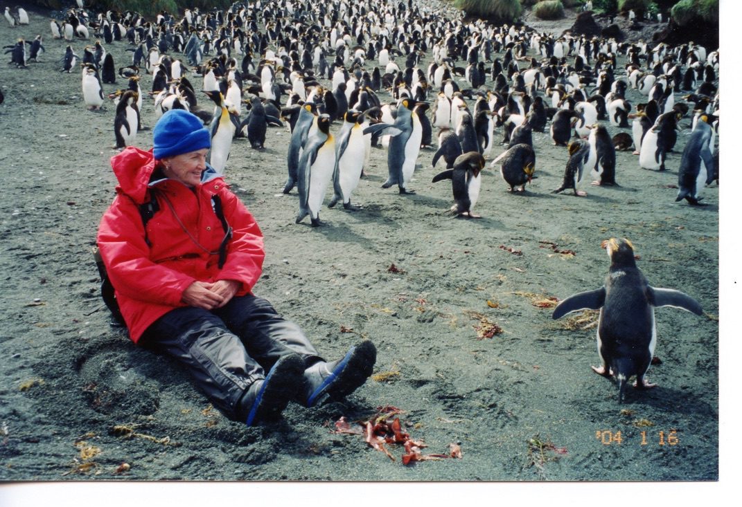 Joyce Perrin Never too old to travel solo antarctica