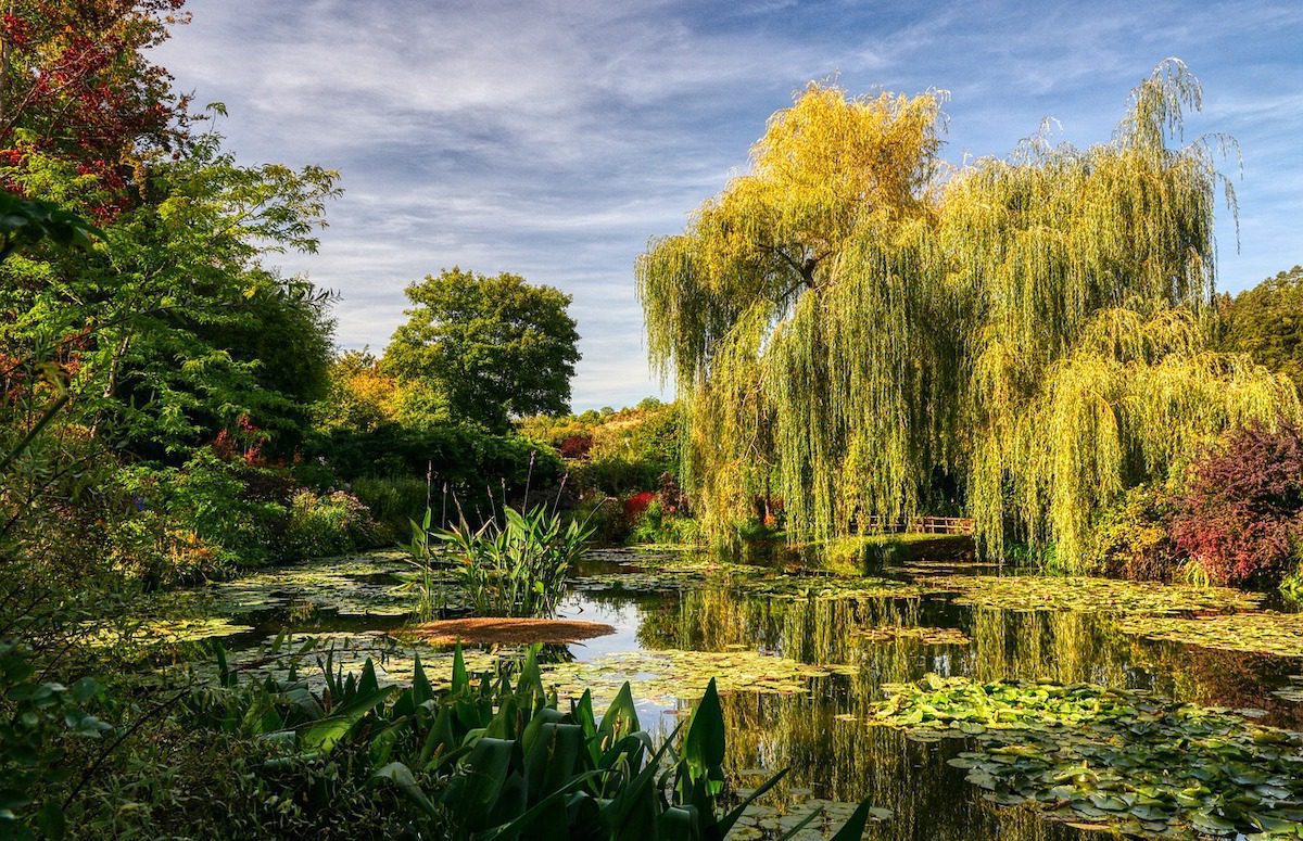 Lush greenery in the Money Garden, France