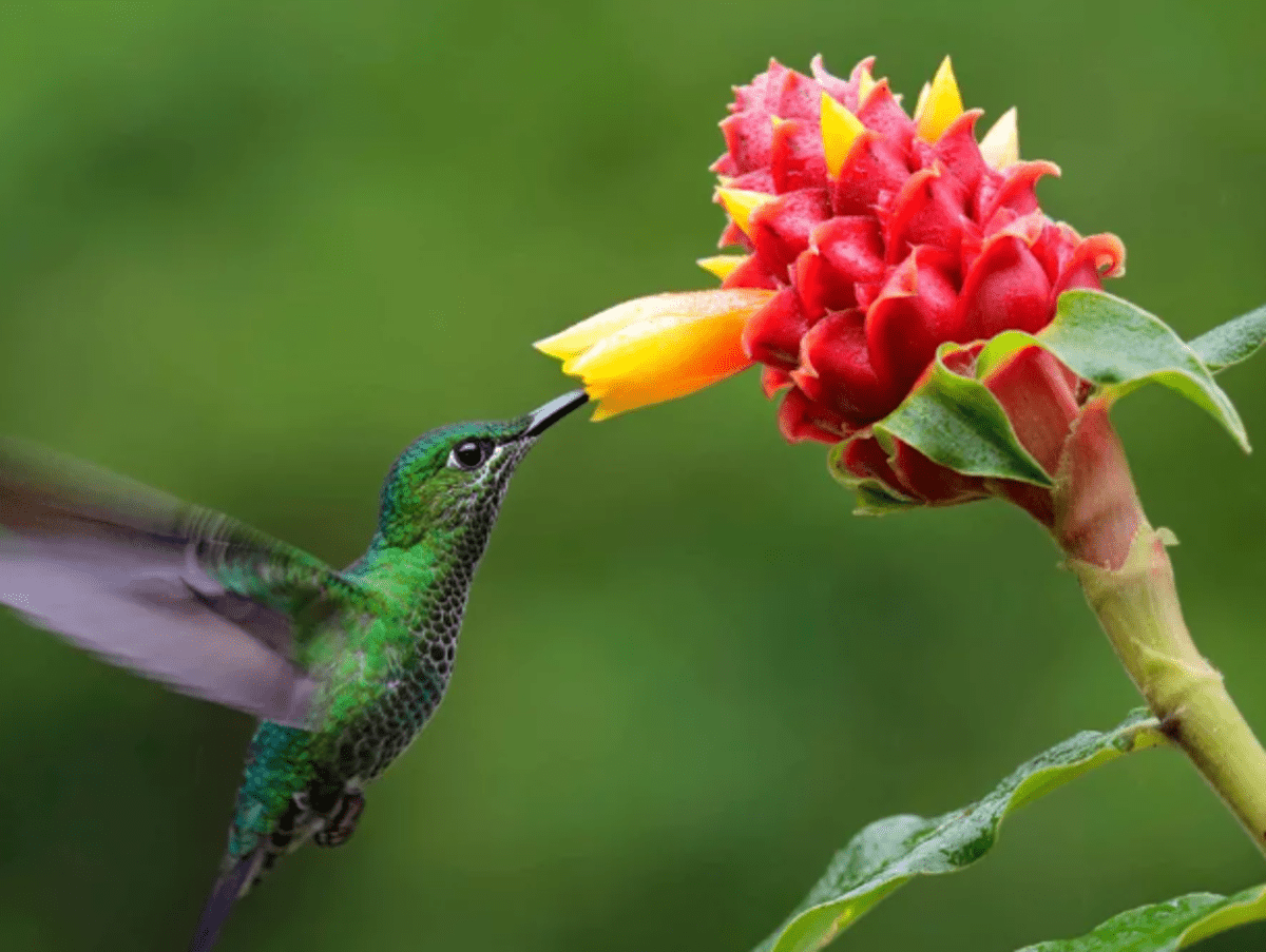 five woman standing on the camino trail