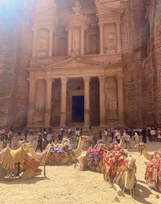 Camels in front of Petra, Jordan