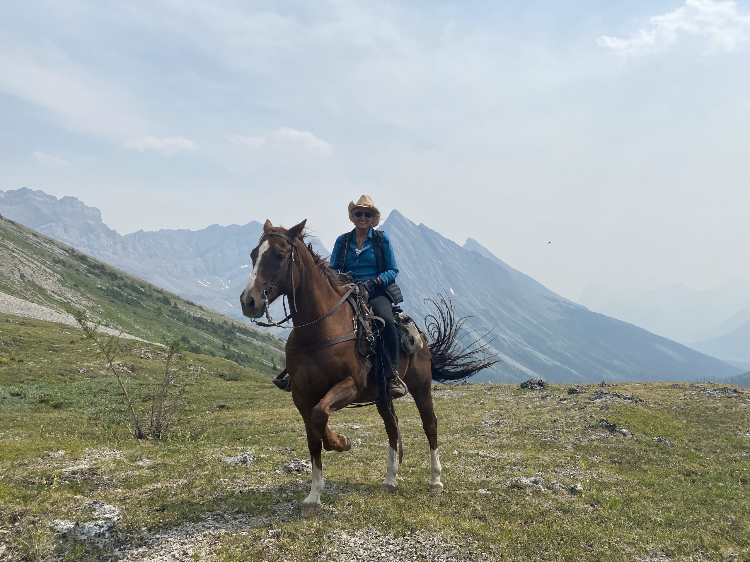 horse banff alberta midlife reinvention