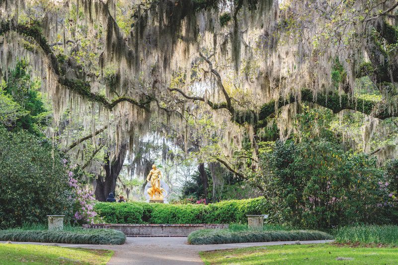 joy of exploring gardens Brookgreen
