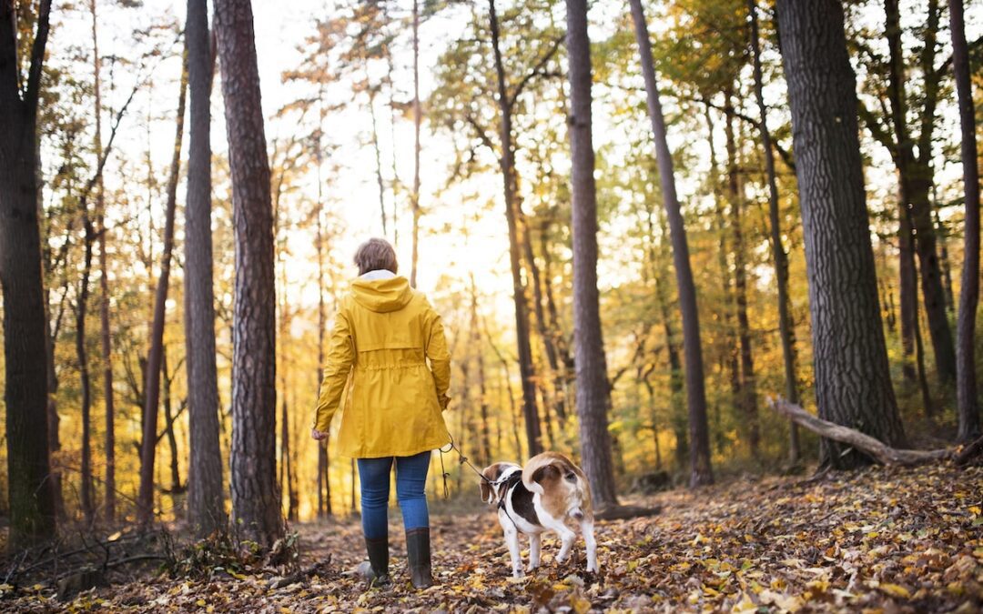 Finding Joy: Rona Maynard and Life Lessons From Casey, her “Starter Dog”