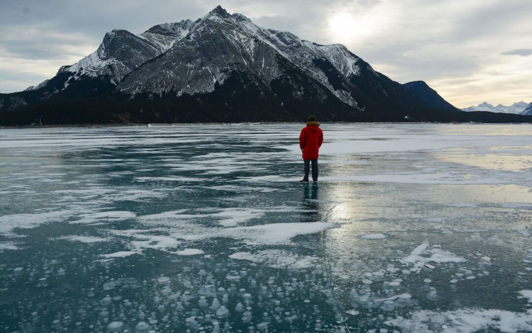 Eight Travel Guidebooks About Canada, Written by Canadian Travel Writers