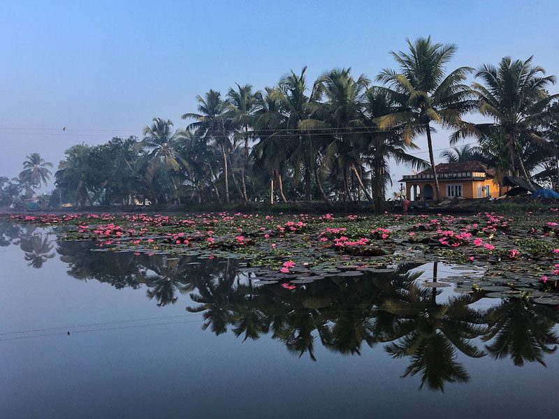 Kerala backwaters in India