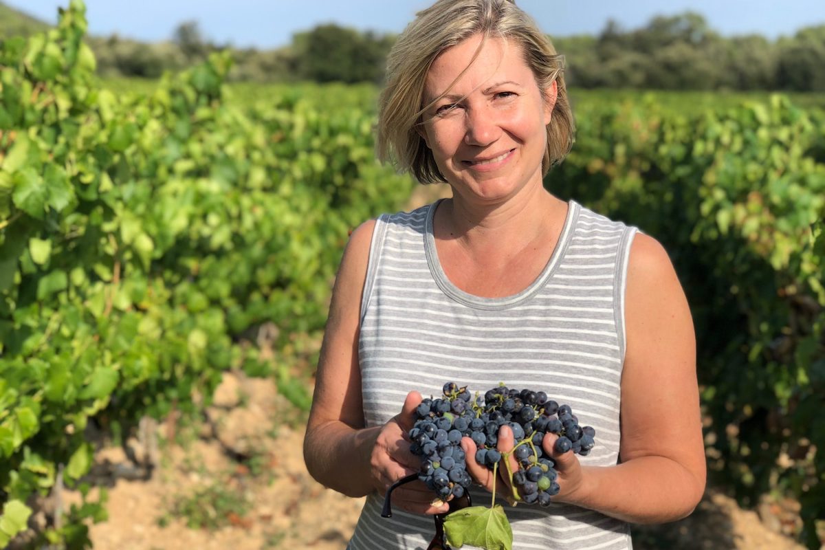 A women holds a bunch of grapes in a vineyard in Provence, France