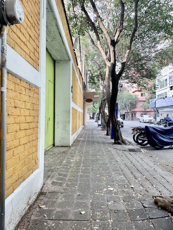 Tanzila hits the streets to discover five accessible places in Mexico City