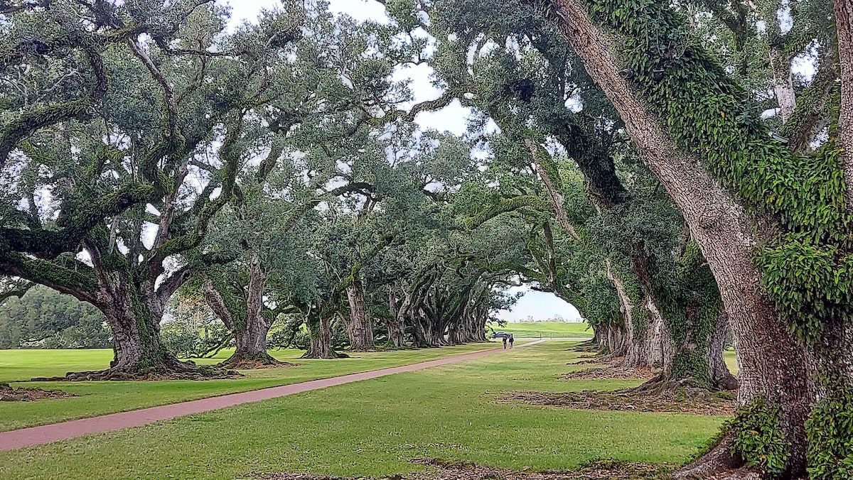 Oak Alley, outside New Orleans Louisiana