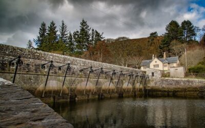 Scotland’s Hidden Gems: Travel to Dornoch, Scotland With Cynthia Dale