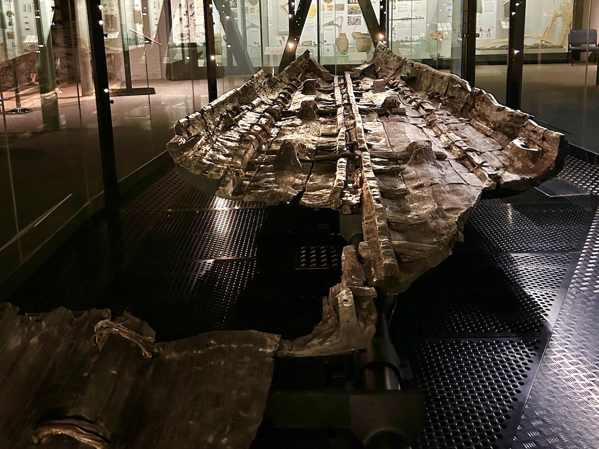 The Dover Museum houses the Bronze Age Boat Gallery, with the world’s oldest known sea going boat