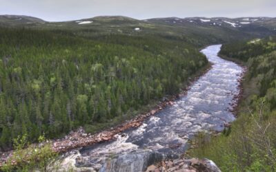 Meeting a Legendary Heroine, Elder Tshaukuesh Elizabeth Penashue, in the Big Land—Labrador, Canada