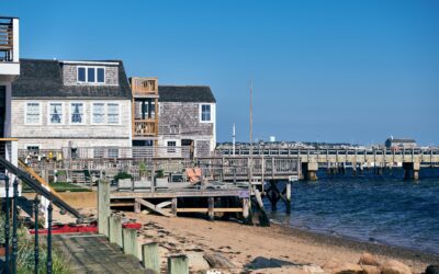 A Book for Bookstore Lovers: “The Storied Life of A.J. Fikry”