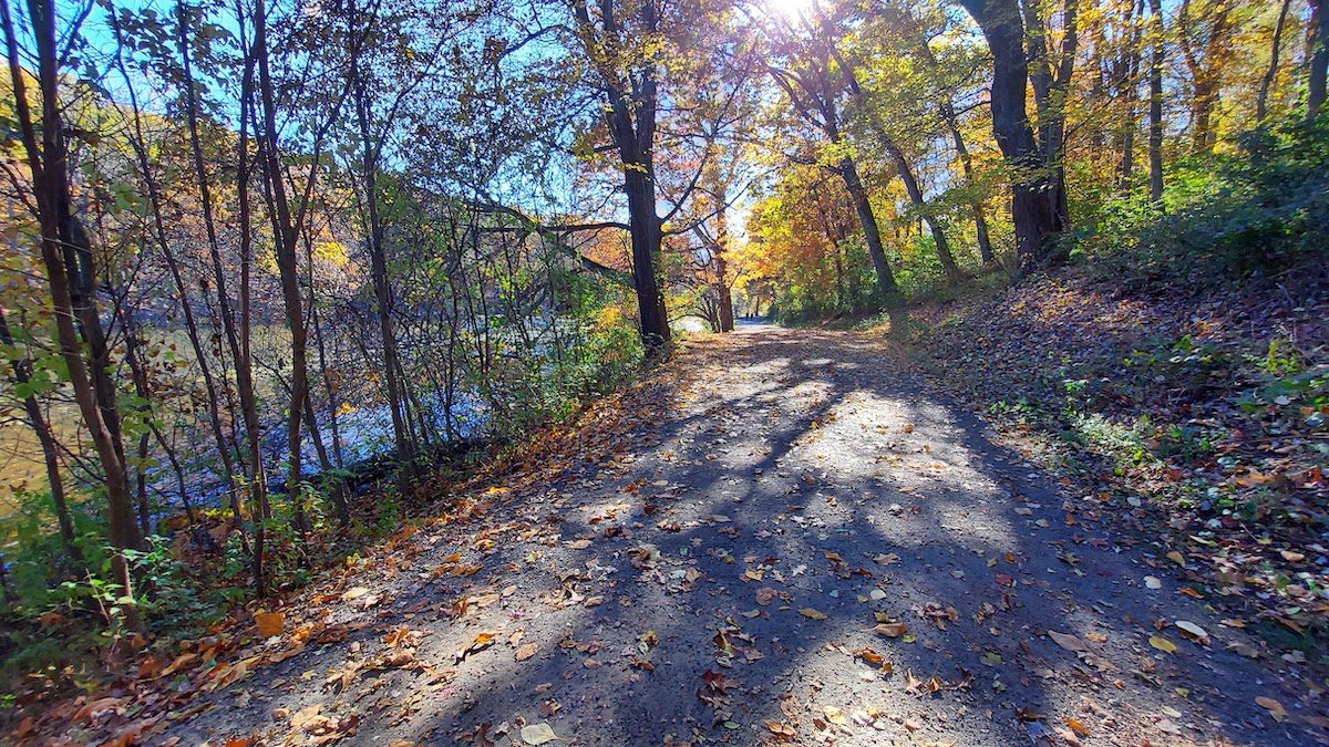 A walk through a park while on my travels