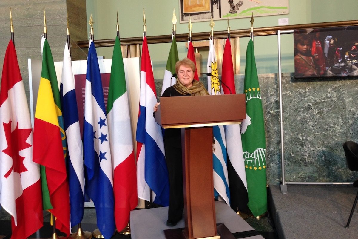 Leyla Alyanak standing at a podium during her job in the UN