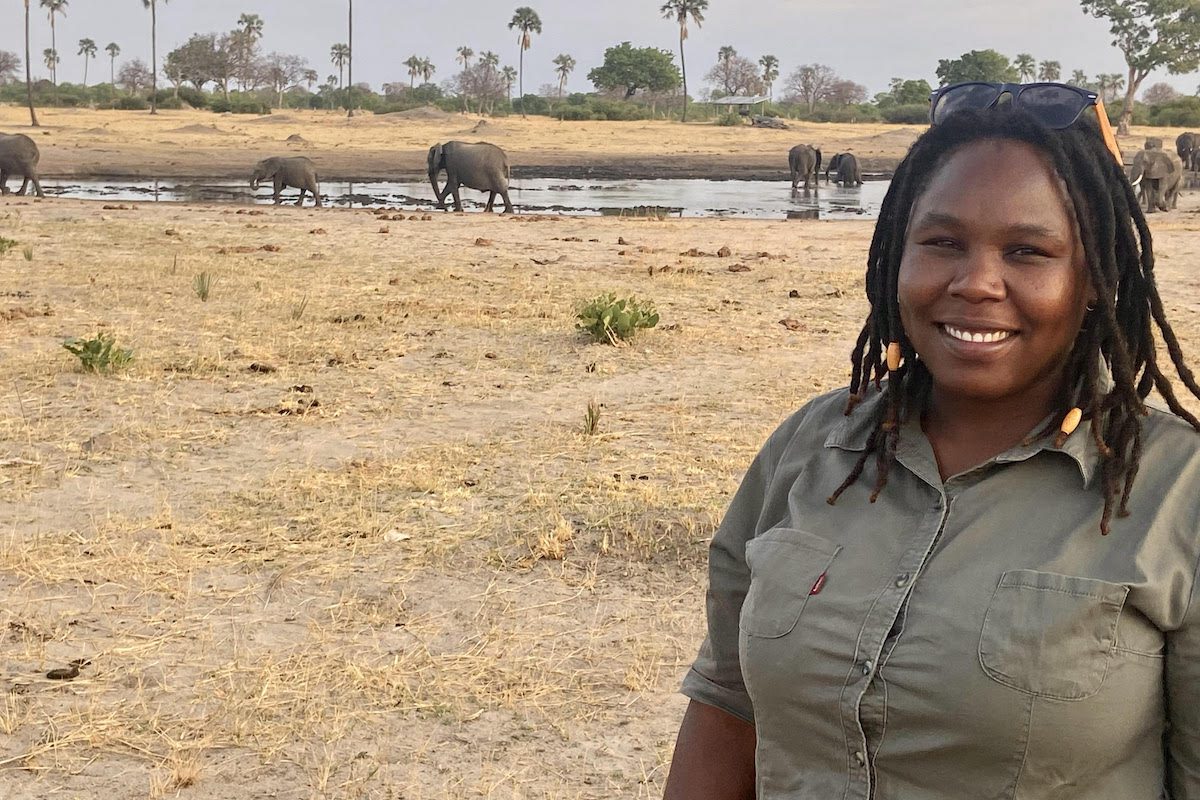 Moreangels Mbizah Elephants in the background