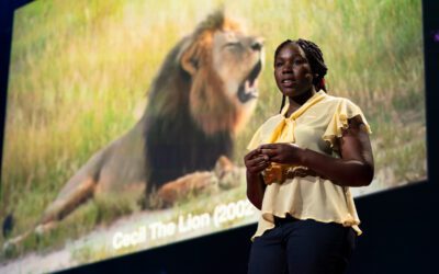 Meet the Woman Protecting Zimbabwe’s Majestic Lions: Moreangels Mbizah, the only Indigenous Black Woman Lion Conservationist in Zimbabwe