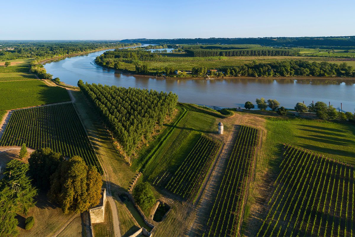 Bordeaux river, with vineyards leading down to the river's edge
