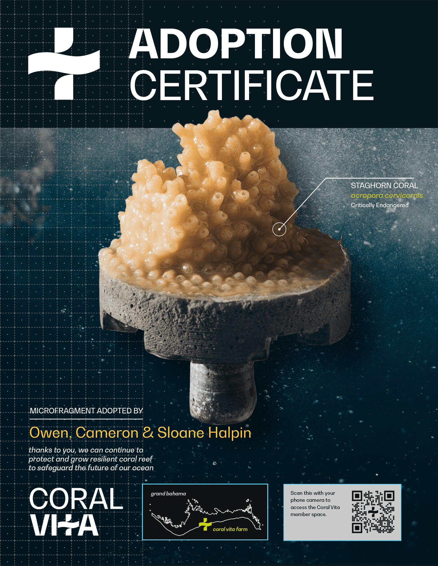 multigenerational travel at cora vita earth day bahamas 