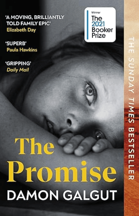 The Promise Book Cover