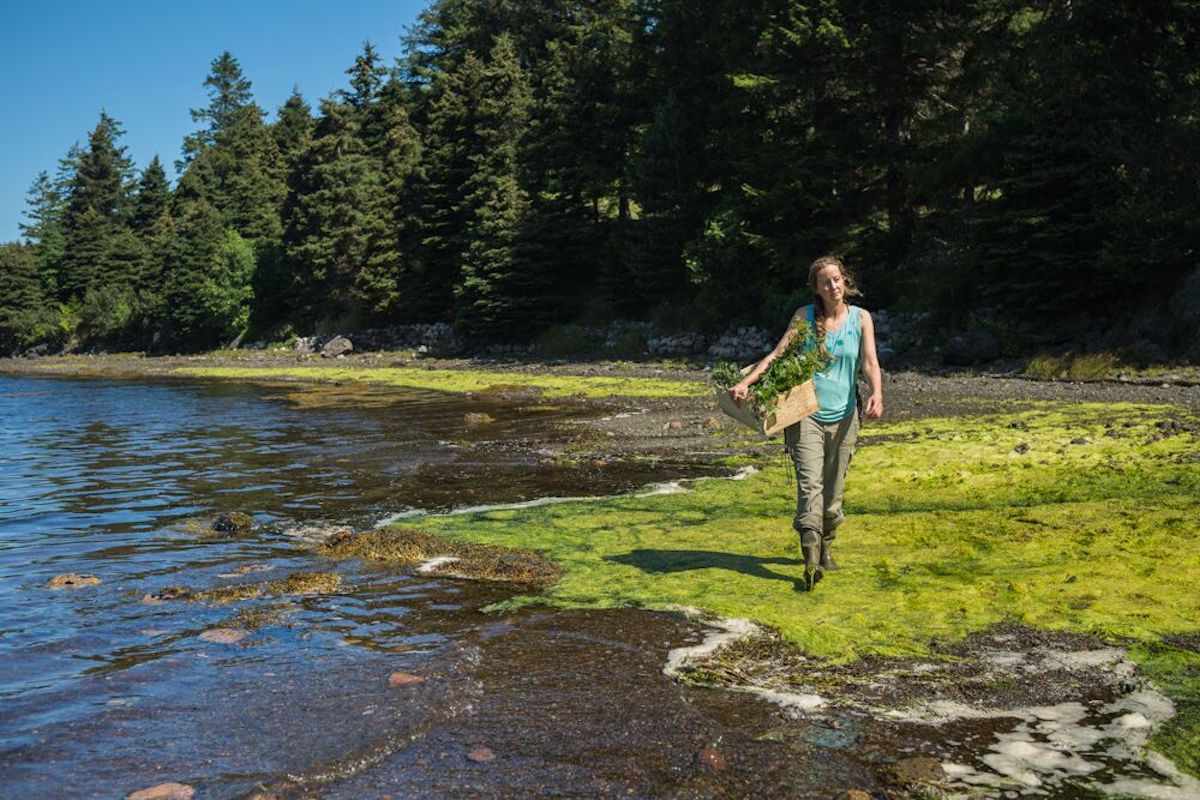 Lori McCarthy walks along the water with a basket of greens