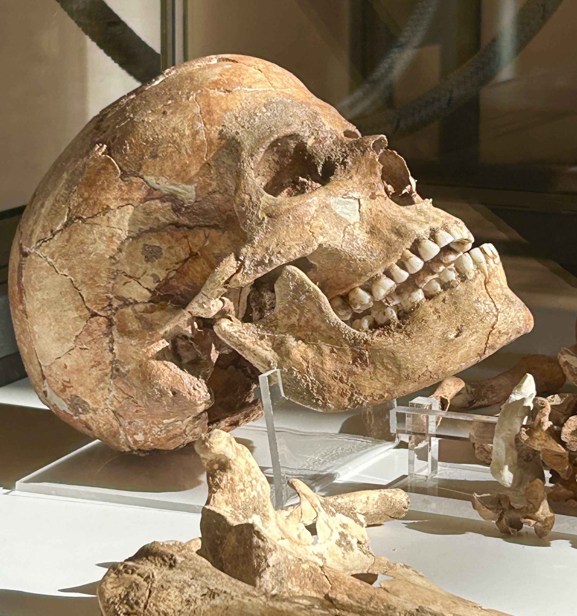 skeleton in Ostuni the white city puglia italy