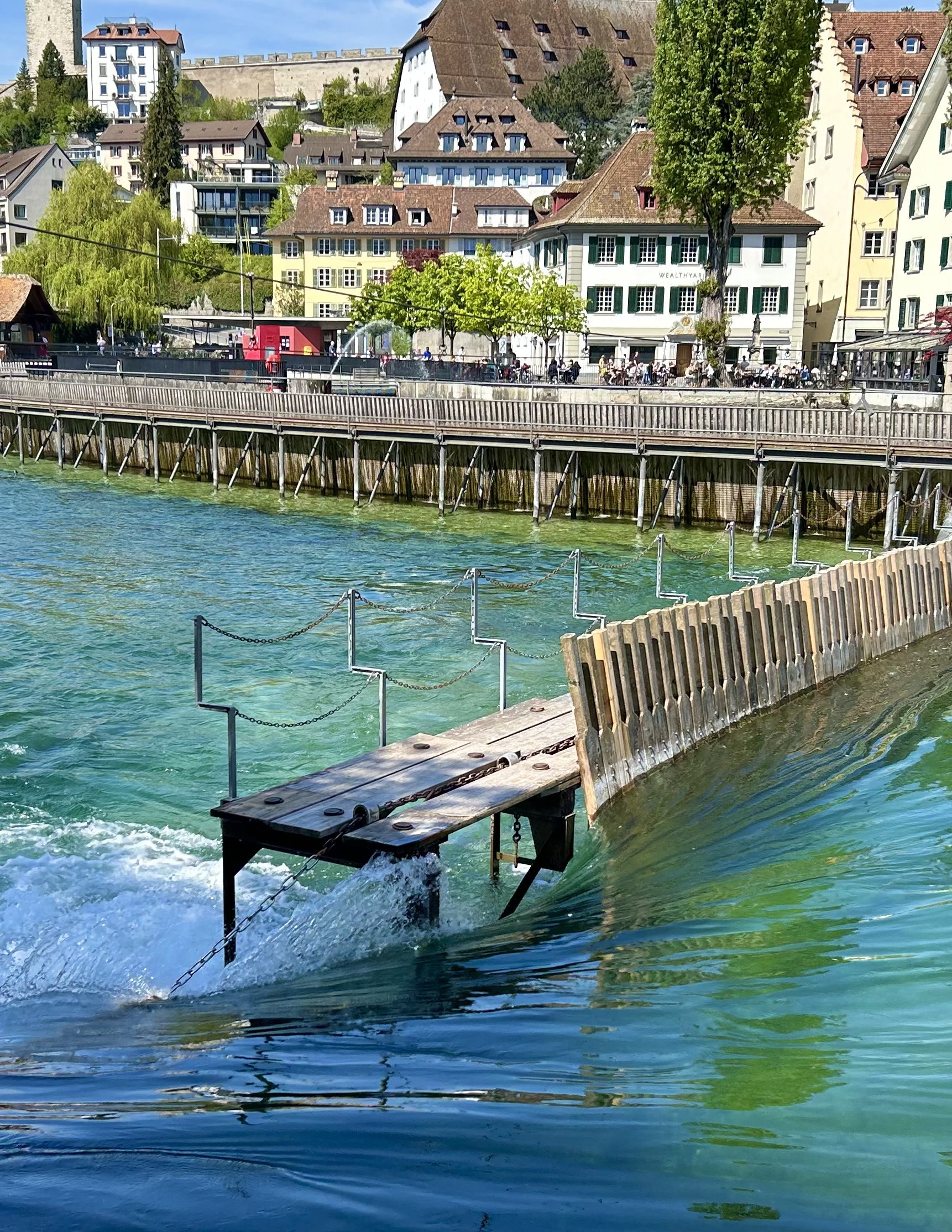 tins of olive oil in ostuni puglia italy