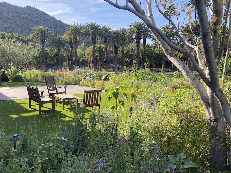 How to Choose a Wellness Retreat lush gardens_Castle Hot Springs Lush gardens Castle Hot Springs