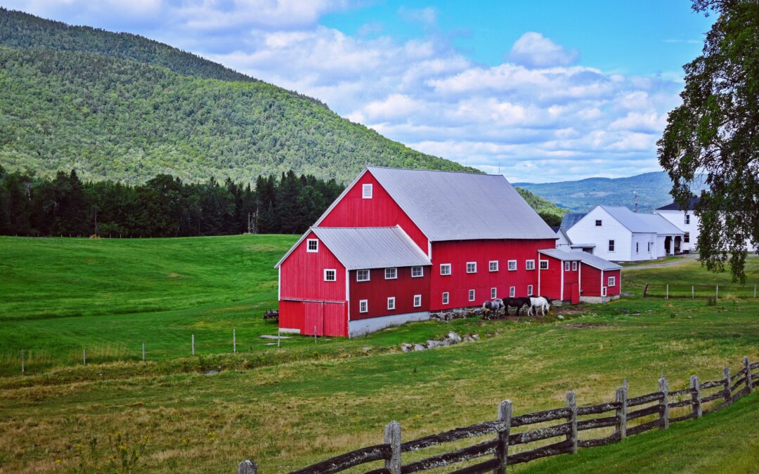 JourneyWoman Book Club: Kindness Wins in Lesley Crewe’s Book “The Spoon Stealer”, Set in Nova Scotia, Canada