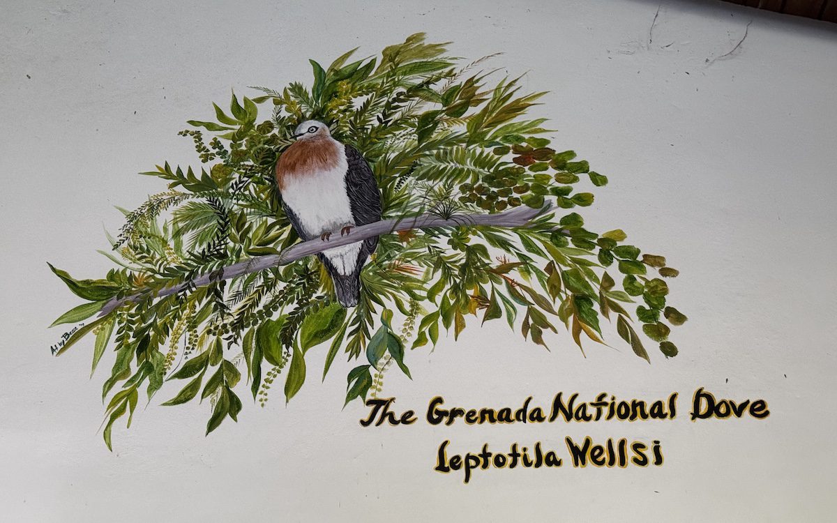 Dove mural at Mt. Hartman National Park