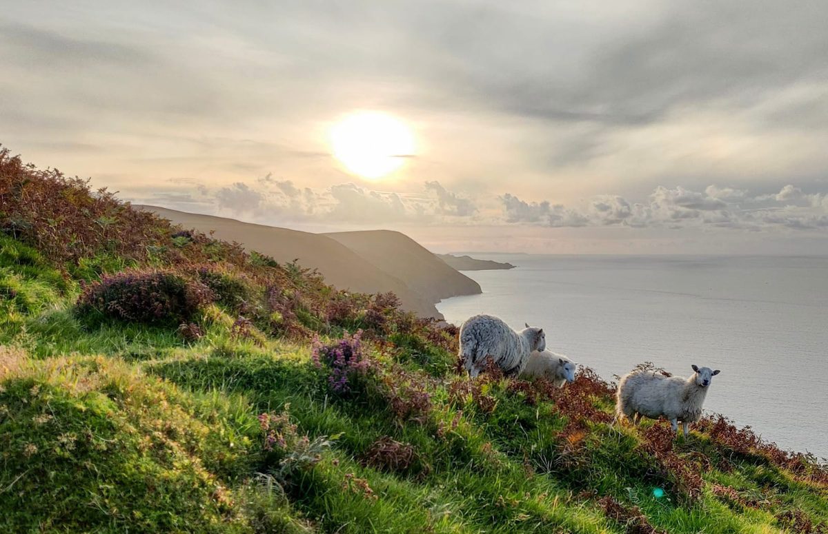 Yoga for Wellness with Jeni’s Global Yoga Retreats