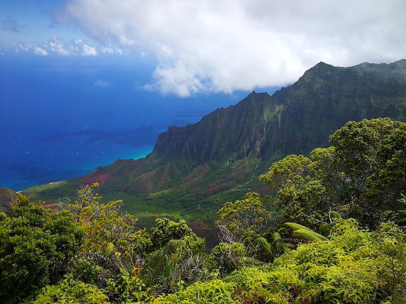 Kalalau Lookout on Kauai