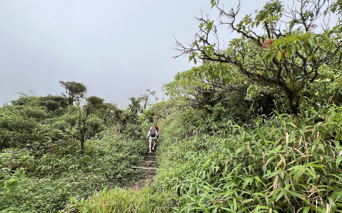 Mount Pelée, Martinique