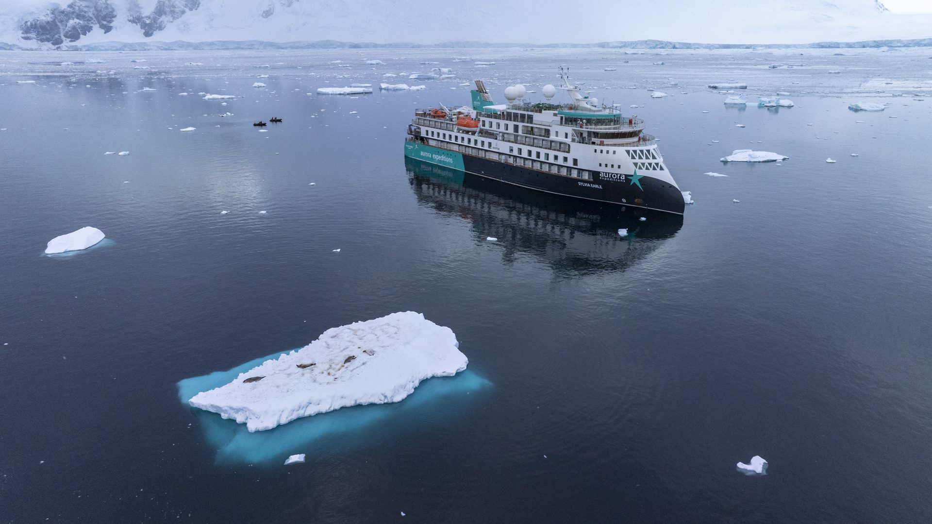 aurora expeditions sylvia earle