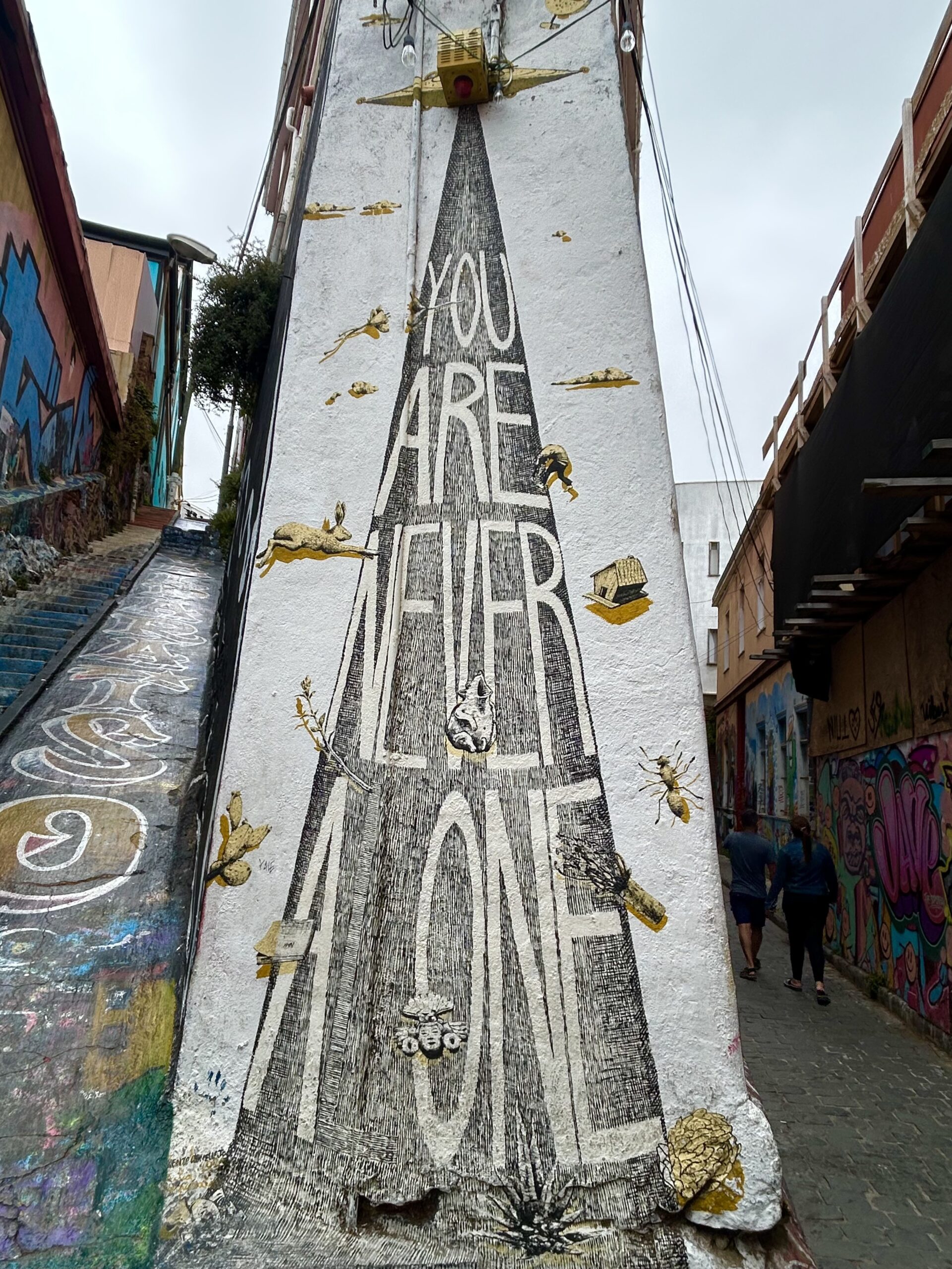 reims taittanger salt mine UNESCO 