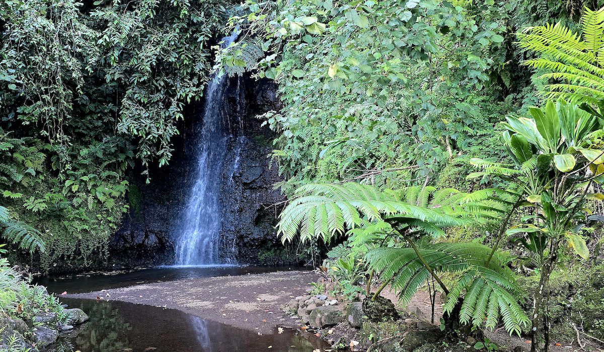 Botanical garden waterfall Tahiti