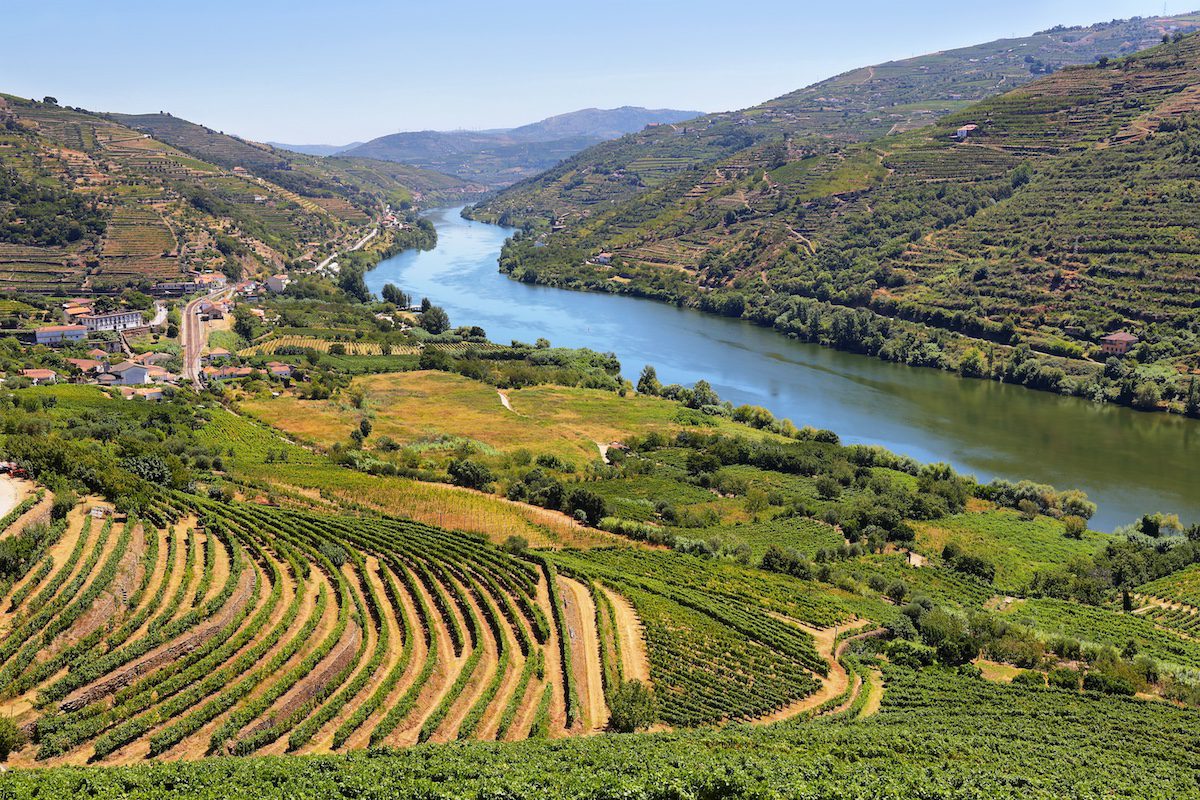 Amazing views of Douro vineyards and river from Messao Frio in Portugal