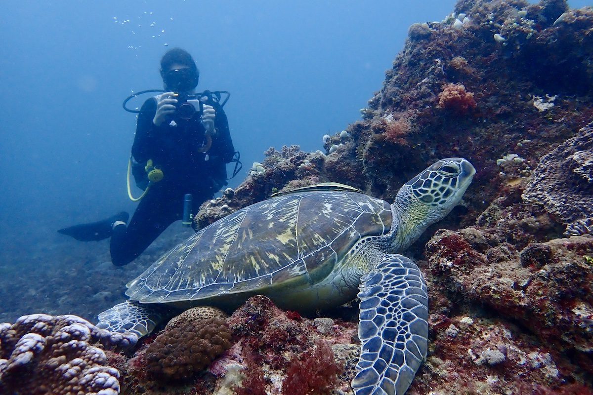 Joana Hancock a conservationist working to protect the sea turtles in Kenya