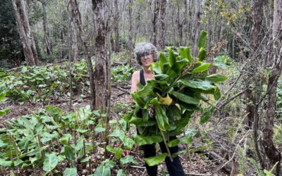 Seven Ways Women Can Help Your Favourite National Parks, From Volunteering to Conservation Trips