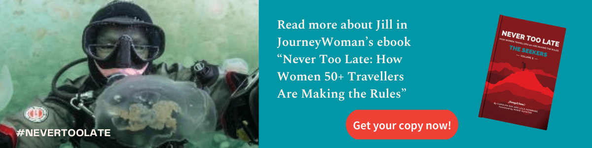 never too late jill heinreith banner 