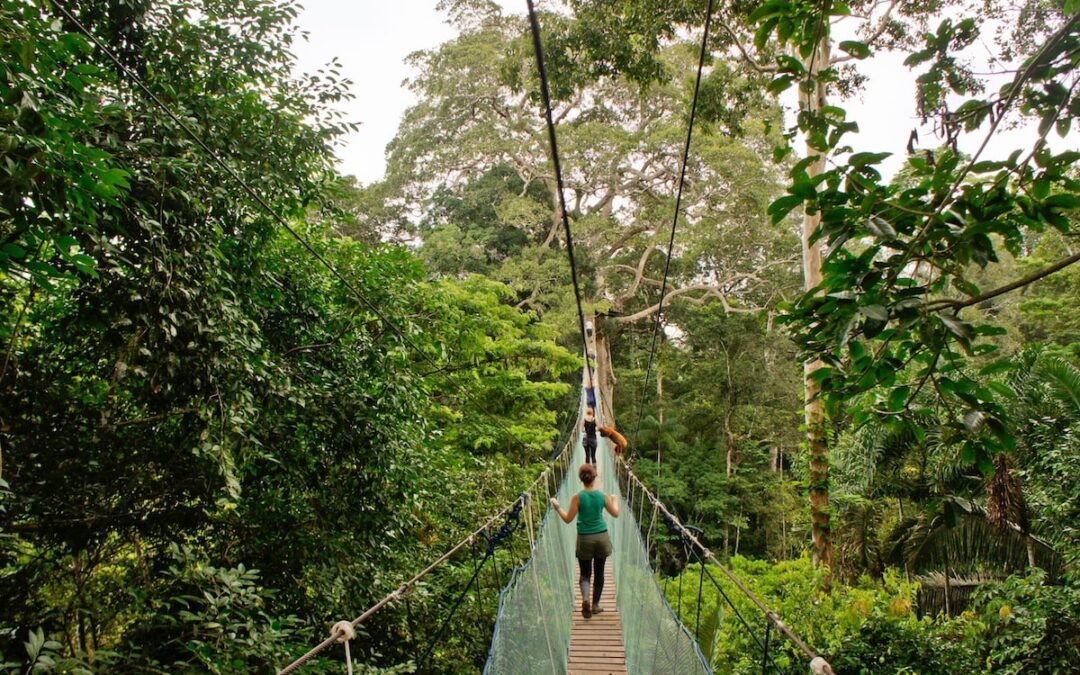 “Everything We Do Is About Solo Travel”, Solos CEO Says, as Solos Expands Into the North American Market