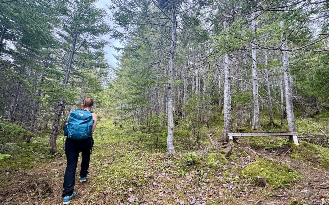 Women of the Wilderness: Making New Connections on a Solo Road Trip Through Rural Newfoundland