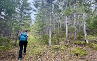 Women of the Wilderness: Making New Connections on a Solo Road Trip Through Rural Newfoundland