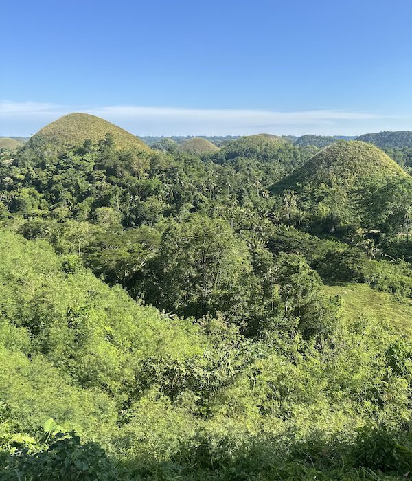 The Chocolate Hills in Bohol