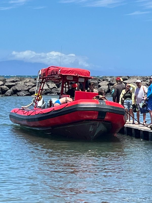 Diana Eden takes a snorkelling day trip in Maui, Hawaii