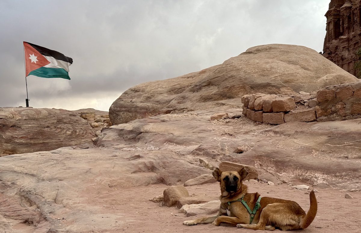 In Petra, a dog luonges near a Jordanian flag