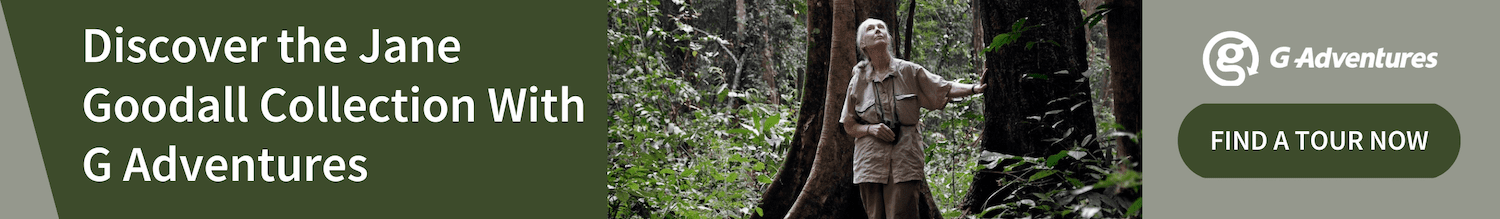 Find a women-friendly trip on the Women's Travel Directory