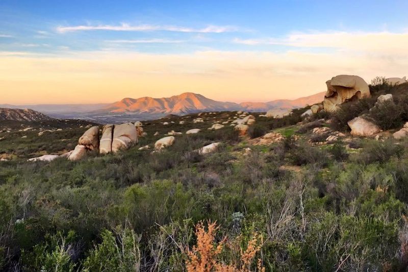 Rancho la Puerta View Integrity in Travel