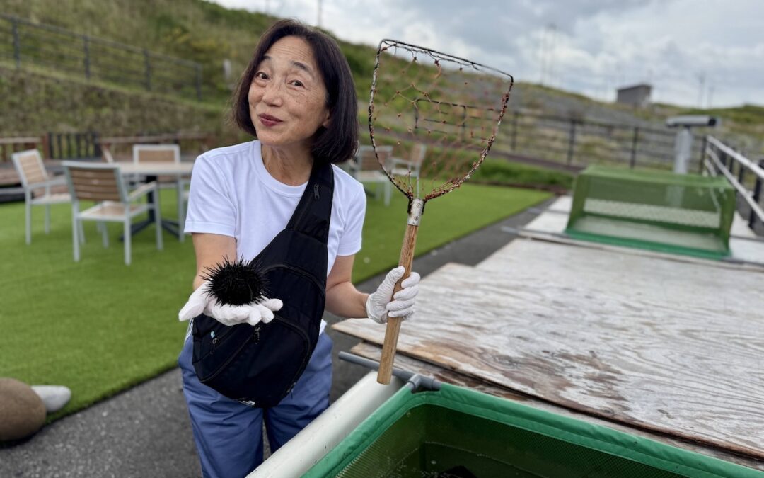 Japan’s Unsung Northern Islands: Why Hokkaido Should be on Every Woman’s Radar