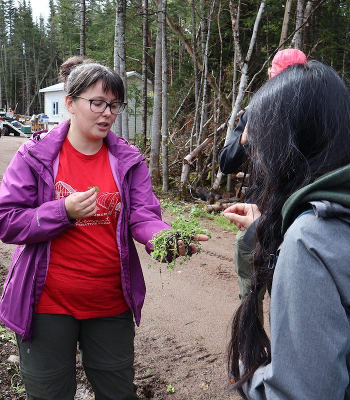 Lauralee LeDrew leads a foraging walk during the retreat’s “earth” day.